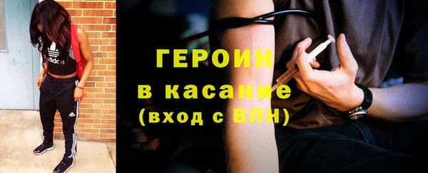 твердый Гусев