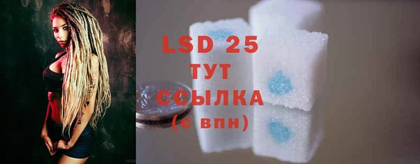 твердый Гусев