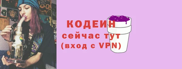 твердый Гусев