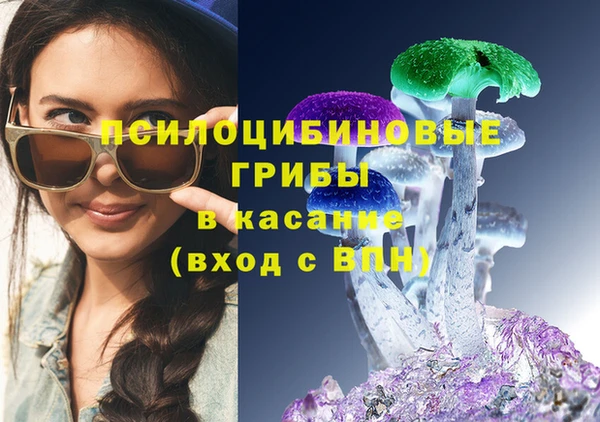 винт Гусь-Хрустальный