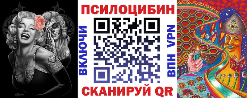 Псилоцибиновые грибы Psilocybine cubensis Купить закладки Козьмодемьянск